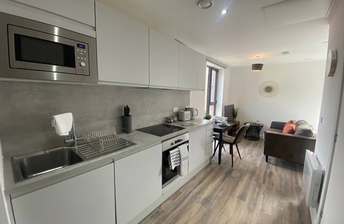 Sheffield Apartment | Kelham Gate Studio - Brand New - City Centre -
