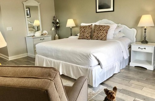 Culloden Shores Hotel | Kenny's Tipperary Inn