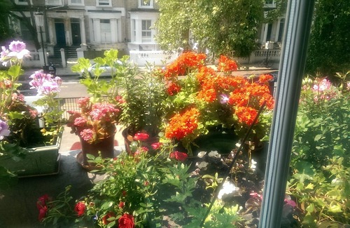 Holland Park Apartment | Kensington & Chelsea, Double room flat for Professionals .