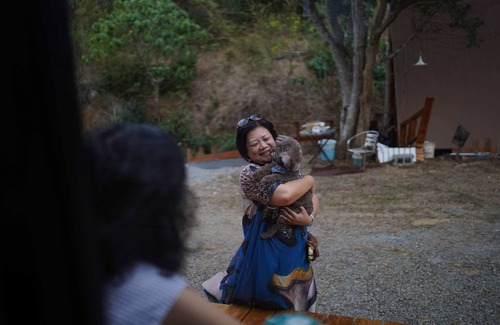 Hengchun Cabin | Kenting Konggu Valley Retreat Hut 1 By Tiny Away (墾丁空谷山崌小宅1)