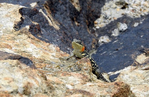 Gulmit Hotel | Kerch Gulmit Hotel