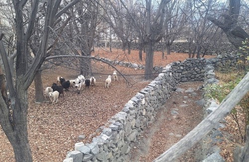 Gulmit Hotel | Kerch Gulmit Hotel