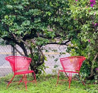 Southwest Coconut Grove House | Key West Style Historic Home in Coconut Grove Florida The Yellow House