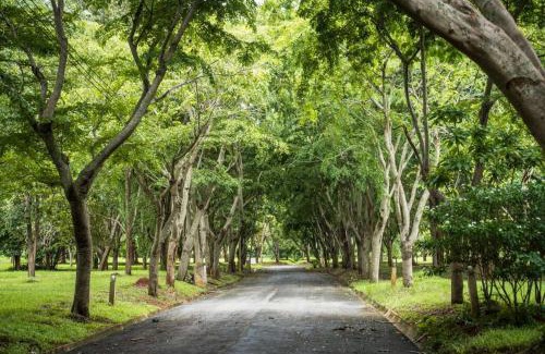 Nong Nam Daeng House | Khao Yai Log House