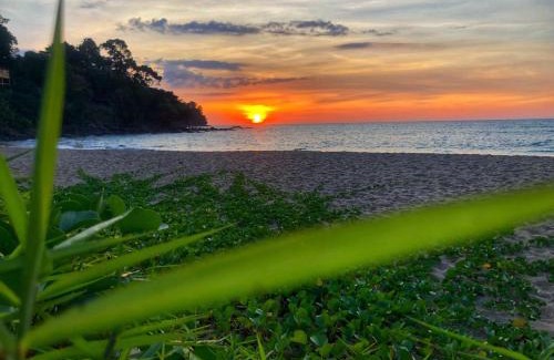 Khao Lak Resort | Khaolak Palm Beach Resort