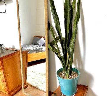 Da Lat House | Khoảng Lặng ATP