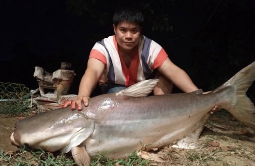 Mae Kon House | Khunkorn Fishing Farm Stay