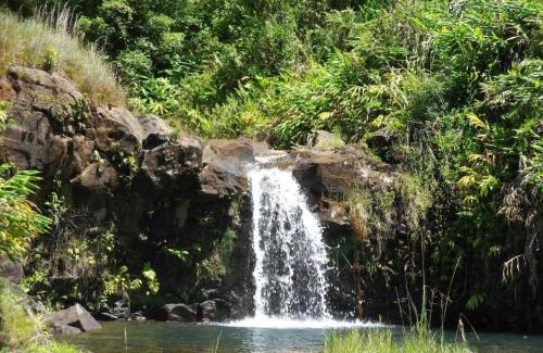 Hilo Cabin | Kikala Waterfall Lodge