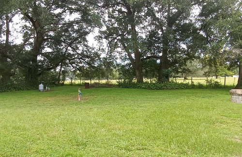 Fellowship House | King and Queen Beds Level 2 EV Car Charger - Close to Silver Springs and Zipline