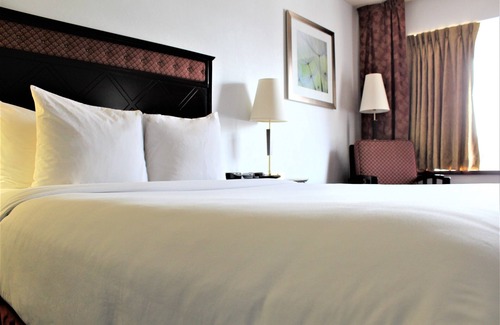 Latin Quarter Hotel | King Room in Hotel Downtown