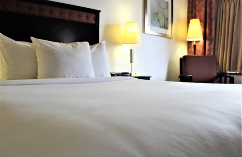 Latin Quarter Hotel | King Room in Hotel Downtown