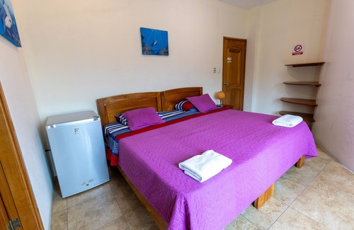 Puerto Ayora Bed & Breakfast | King-size Bedroom Forest View Balcony ON THE Second Floor