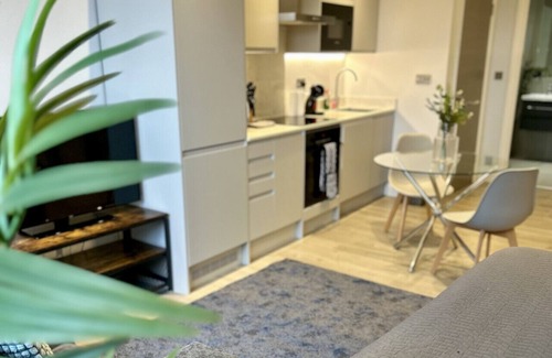 Staines Apartment | Kingsbridge House Apartment Thirty Three