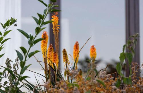 Compton Martin House | Kingsley Lake View & Paddocks - A group retreat with hot tub, sports bars & spectacular lake views in the Mendip Hills AONB