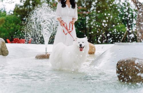 Gyeongju Hotel | Kinock