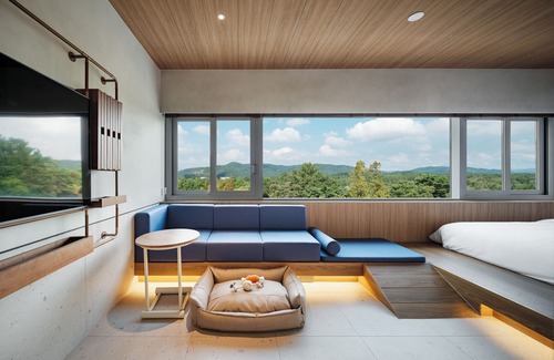 Gyeongju Hotel | KINOCK Pet Hotel