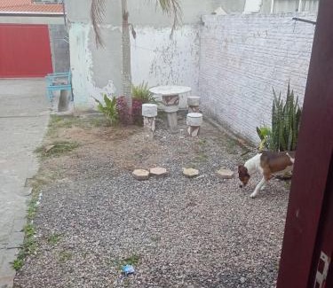 Sao Joao do Rio Vermelho Apartment | Kitinete Rio vermelho