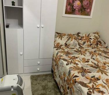 Vila Regina Apartment | Kitnet202 centro, com linda vista janela, tv smart