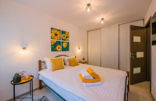 Alba Iulia Apartment | Kitty Sunflower Apartment