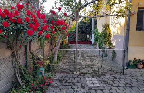 Gevgelija Apartment | Klara Rooms