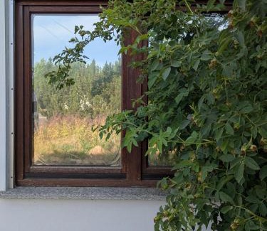 Frielendorf Apartment | Kleine Sonnenstrahl-Oase