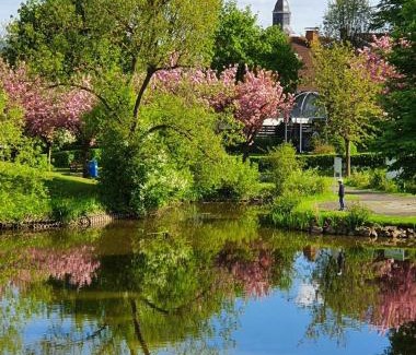 Bad Zwesten Apartment | Kleinod am Kurpark