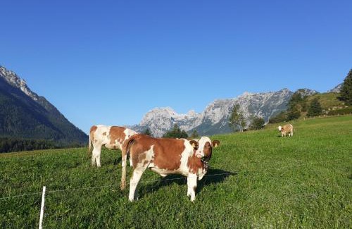 Ramsau bei Berchtesgaden Apartment | Klettnerlehen Ferienwohnung