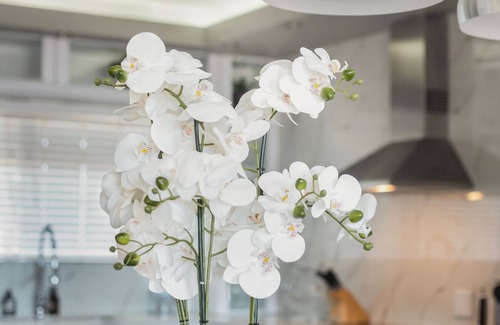 Century City Apartment | Knightsbridge E906