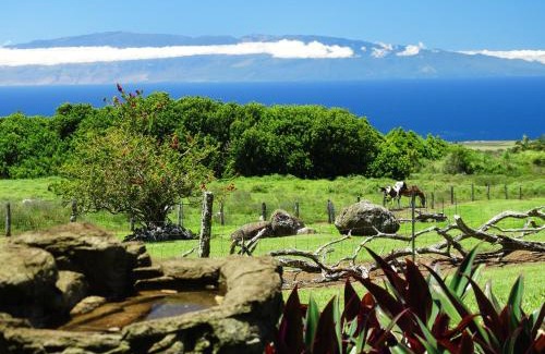 Hawi House | Kohala Lodge- Vacation Rental House