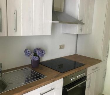 Alsweiler Apartment | Komfort Appartement - Am Reitersberg