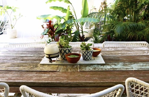 Coogee Apartment | Kookaburra down