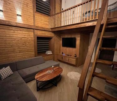 Mavrovo Cabin | Korja Apartments Mavrovo