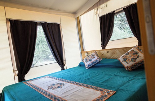 Belpasso Other | Koru