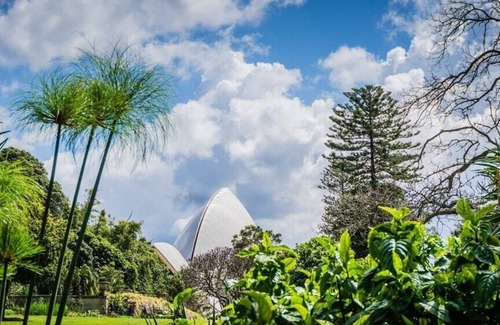 Haymarket Apartment | KozyGuru | Haymarket | Best Location Studio