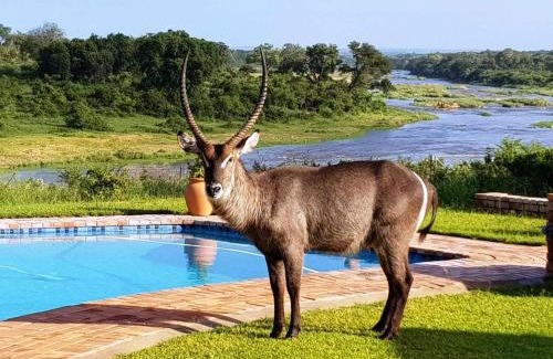 Marloth Park Ski Chalet | Kruger View Tree House