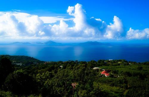 Trois-Rivieres Villa | L'îlot Fruits Guadeloupe