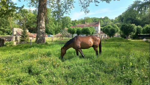 Genainville Apartment | L'Alberta appartement Genainville