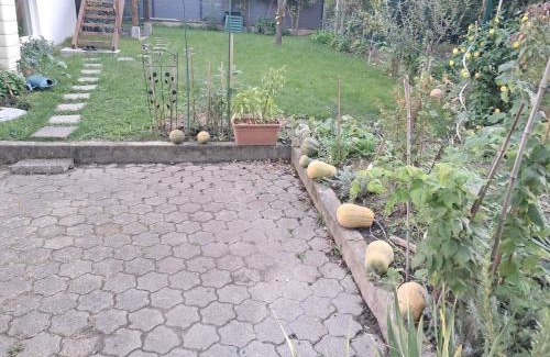 Elsau House | L'Alsace d'ANTAN