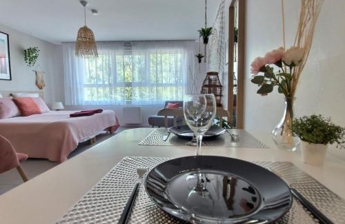 Moussy-le-Neuf Apartment | L'AMAZONIE - ROISSY CDG - Parc Astérix - Paris