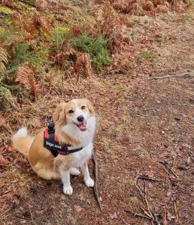 Bugeat Bed & Breakfast | L'AnciennePoste