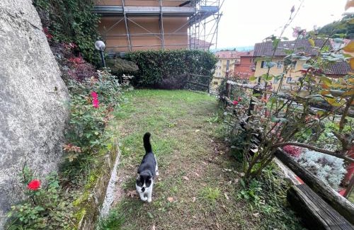 Vernato House | L'angolo di Erika