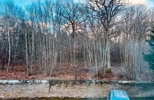 Nancay Hotel | L’antilope