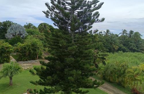 Grand-Bourg House | L'ASETA Paradise