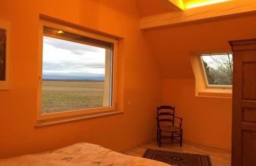 Nambsheim House | L'Atelier 4 stars Luxury, Hot Tub, Pool