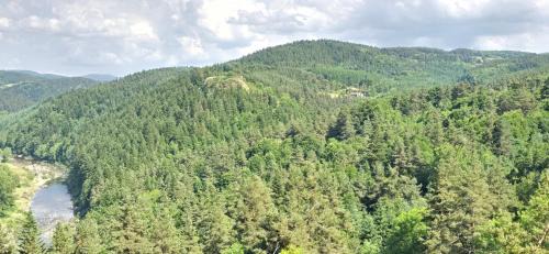 Lafarre House | L'envol des papillons