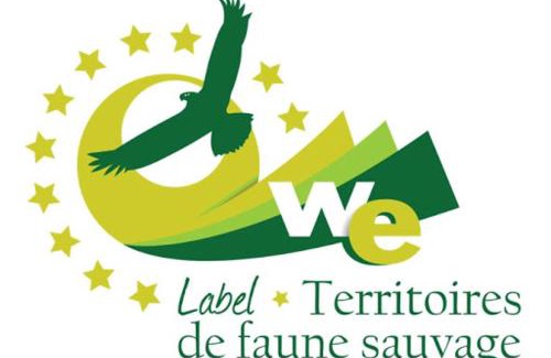 Lafarre House | L'envol des papillons