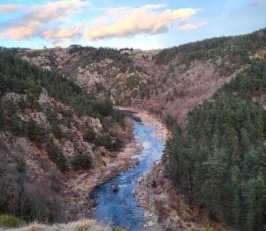 Lafarre House | L'envol des papillons