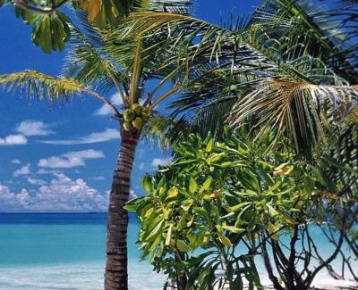 Sainte-Anne House | L'escale Tropicale