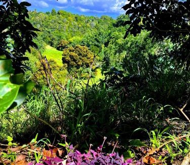 Le Gosier Apartment | l'HABITATION