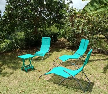 Le Gosier Apartment | l'HABITATION